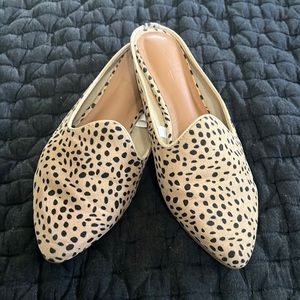 Leopard mules